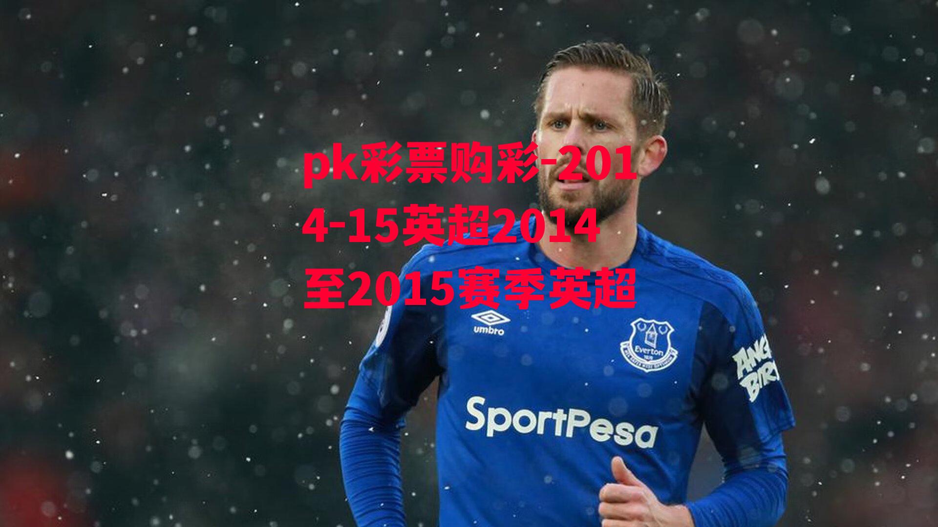 2014-15英超2014至2015赛季英超